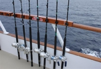 TUNA STANDUP ROD CALSTAR BLANK WITH AFTCO WINDONS AND WINTHROP